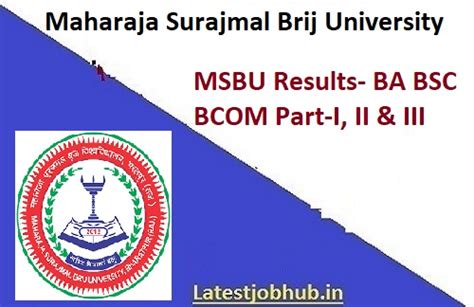 msbuexam.in result 2023|Maharaja Surajmal Brij University, Bharatpur (Raj.).